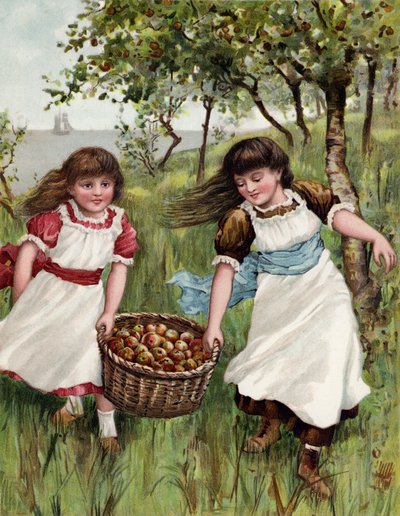 Een mandje zomerfruit door English School